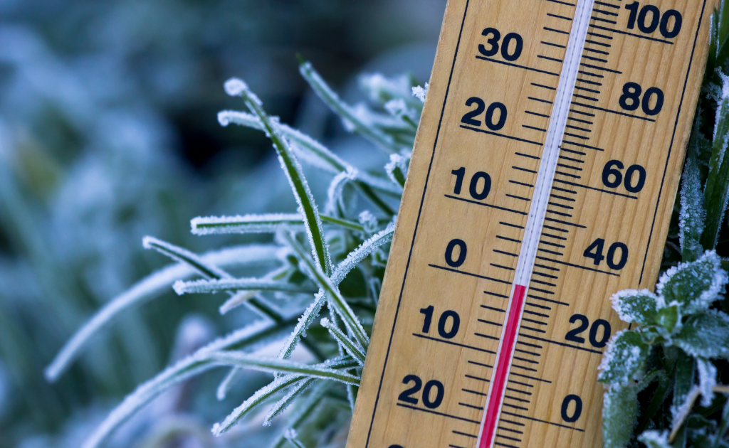 heat tracing en climas frios latinoamerica